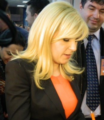 Udrea afirmă că nici una dintre neregulile privind Fondul de Mediu nu a fost în interimatul ei